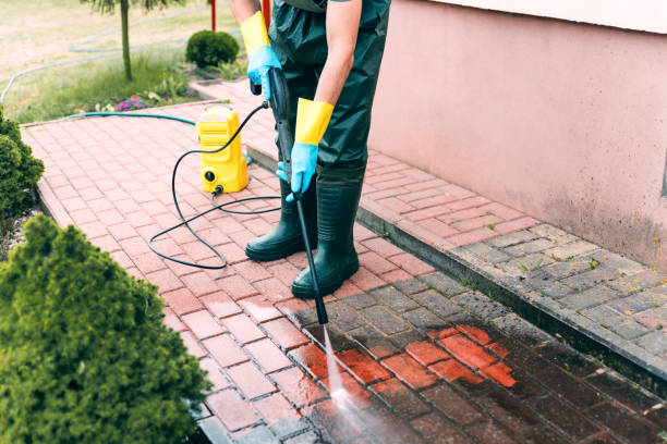 Best Solar Panel Cleaning  in Spearman, TX